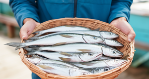 Eco-Friendly Seafood: A Guide to Sustainable Fishing